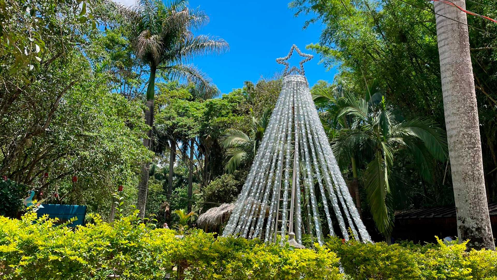 Natal dos Sonhos e Luzes de Natal inauguram em novembro