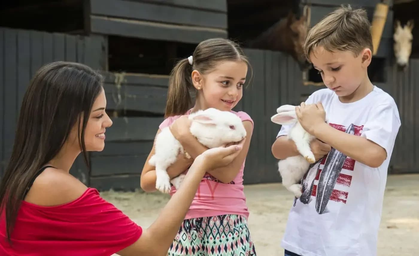Mãe e crianças com coelhos na fazendinha do hotel