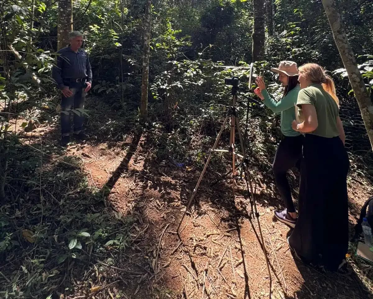 Sustentabilidade na prática: Rede dos Sonhos grava documentário sobre restauração ecológica no Parque dos Sonhos