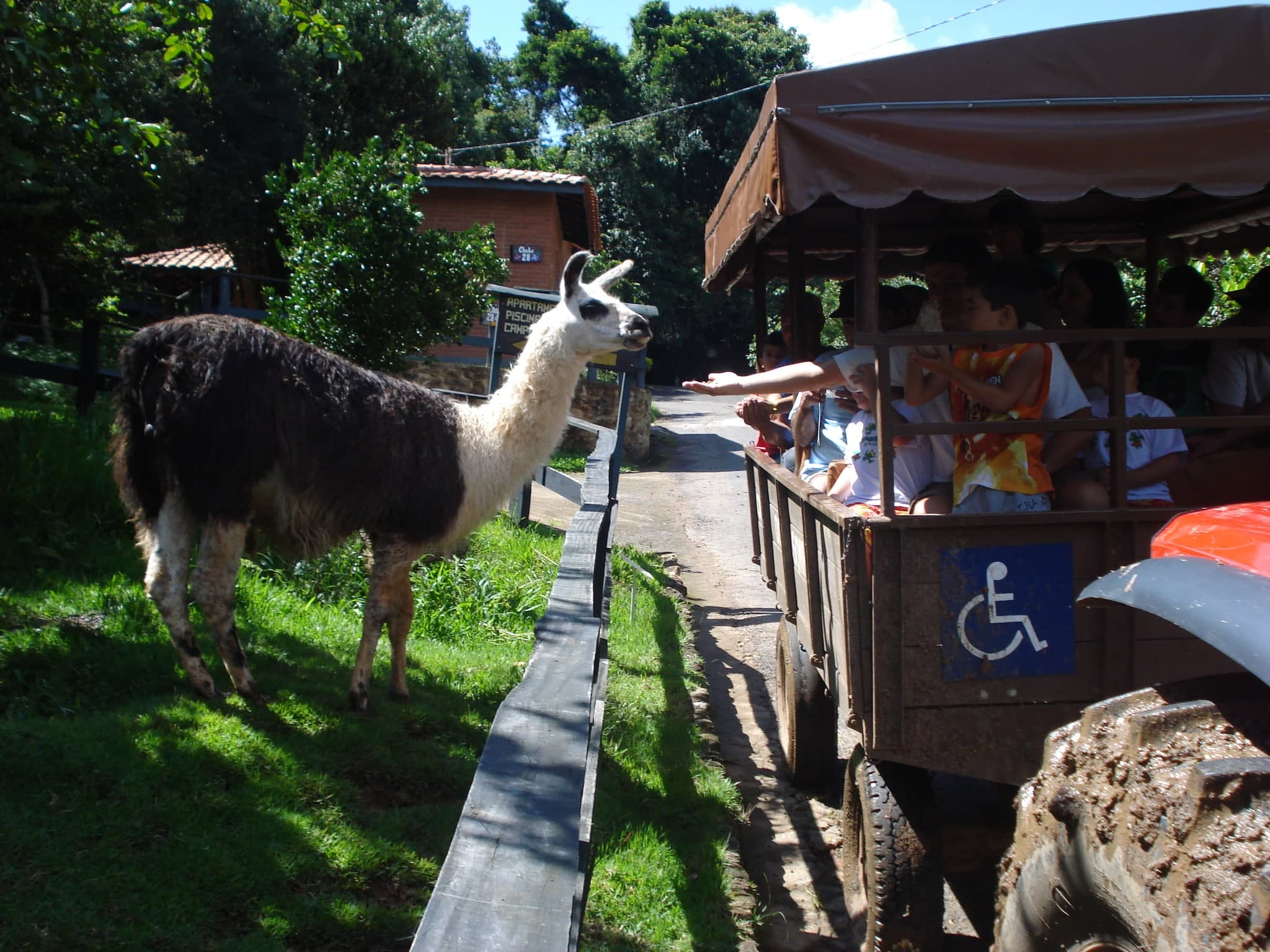 Corra para o campo: hospedagens para fugir do estresse da cidade grande