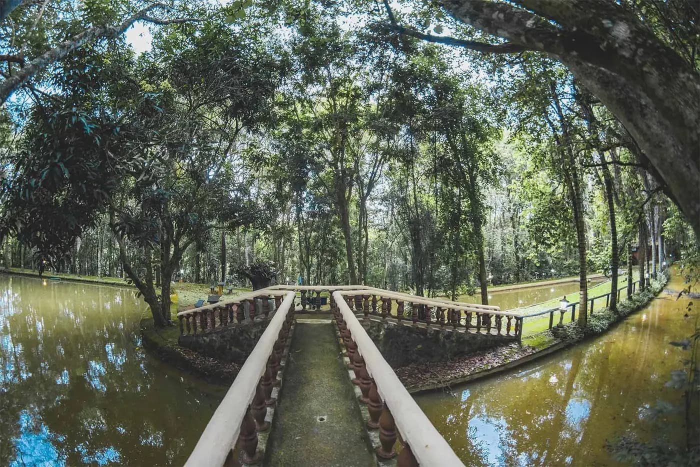 Caminhada do Descobrimento na Rede dos Sonhos