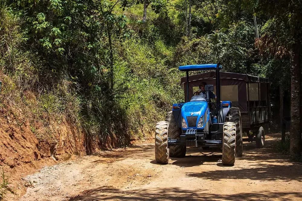Fora de Estrada na Rede dos Sonhos