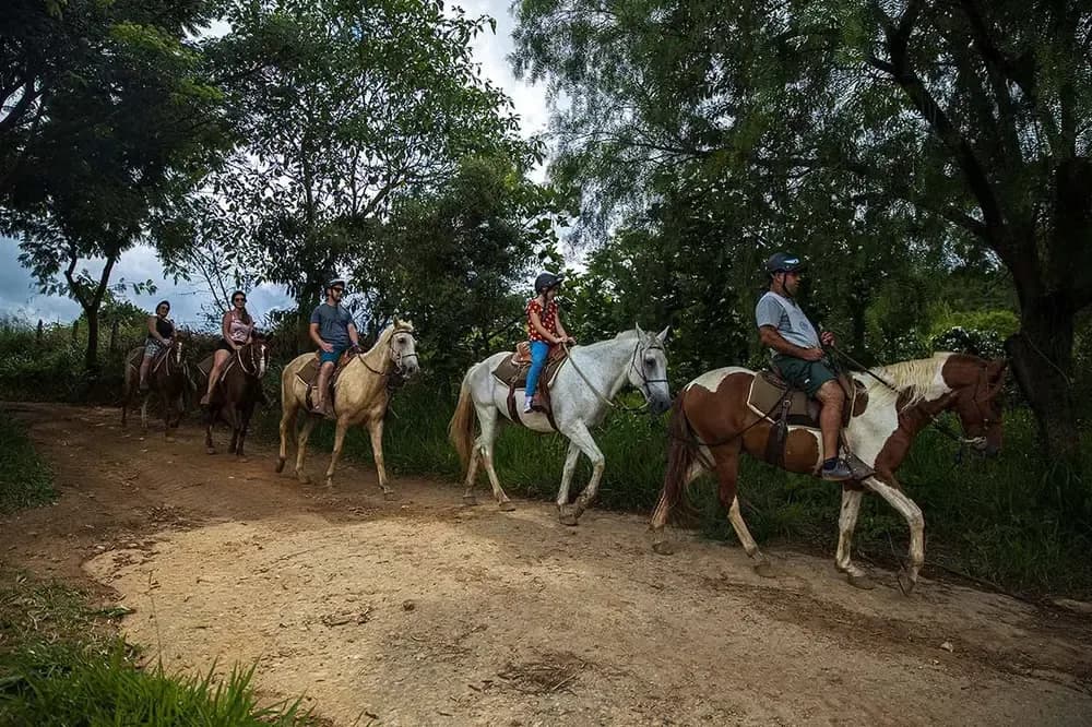 Passeio a Cavalo da Fazenda na Rede dos Sonhos