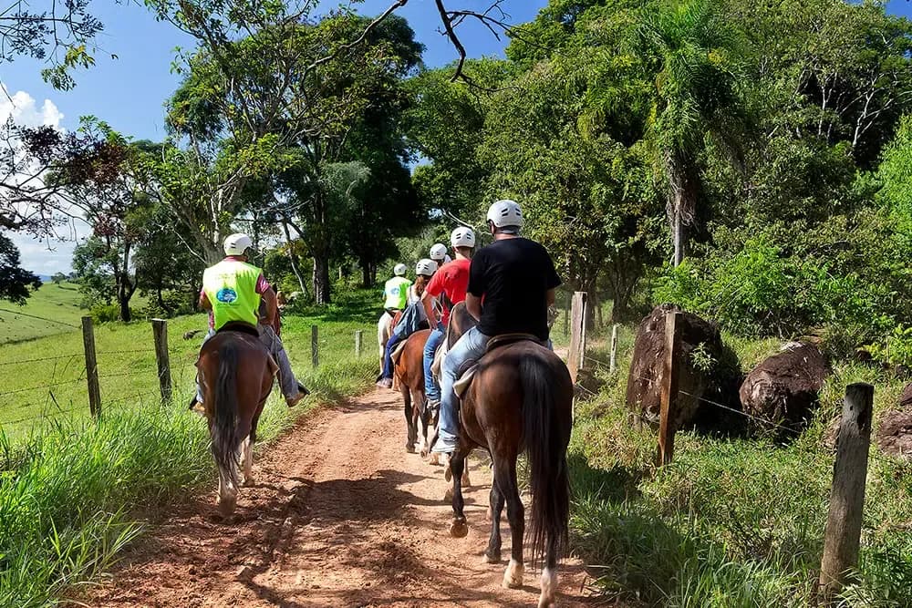 Passeio a Cavalo pelo Campo na Rede dos Sonhos