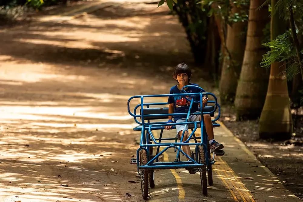 Triciclo (não motorizado) na Rede dos Sonhos